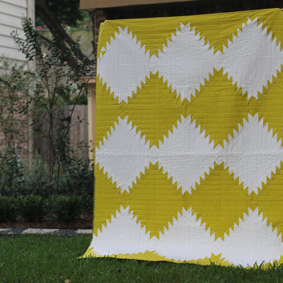 Blogger’s Quilt Festival: Trilobite {Fall 2014}