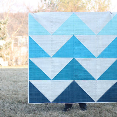 Big Geese Quilt {Finish}