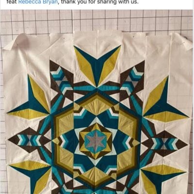 How to Quilt the Solstice BOM – HollyAnne Knight