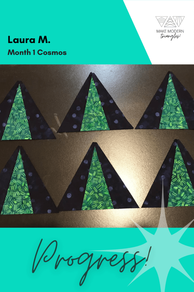 Cosmos BOM month 1 blocks completed by member in green print and black print fabrics.