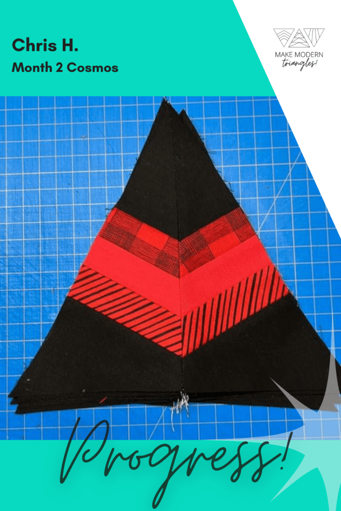 Cosmos Month 2 member make in red and black fabrics.