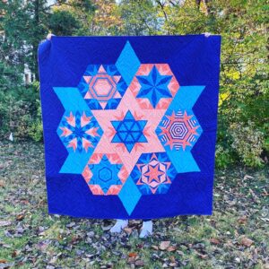 Wildflower Block of the Month by Bryan House Quilts