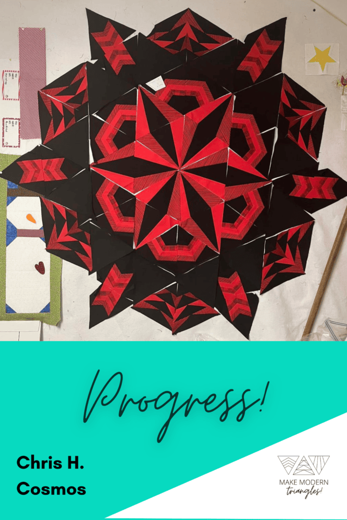 Member Chris H. shares her quilt progress.