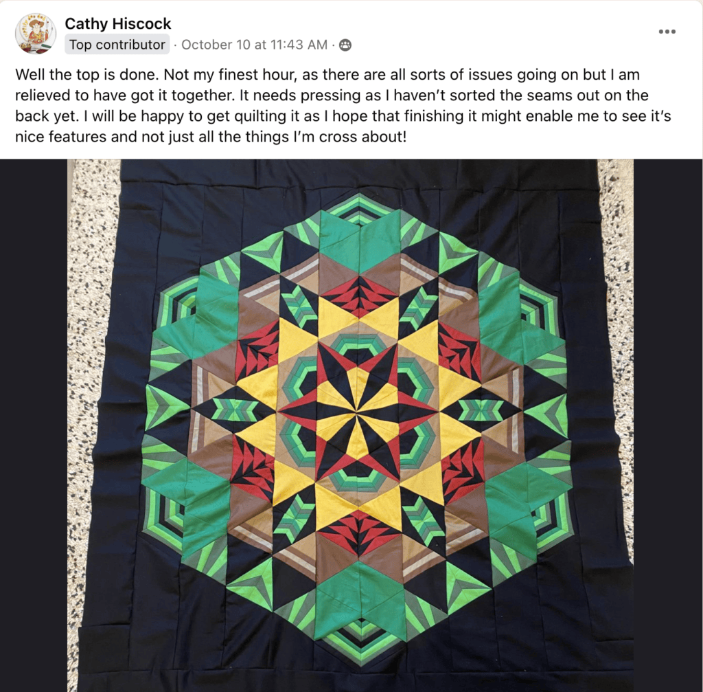 Member Cathy H. shares her quilt finishes and progress.