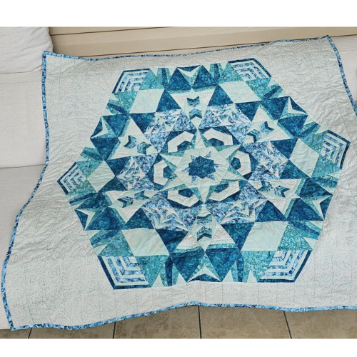 Deborah's Cosmos BOM finish - teal and white quilt is pleasing with to the eye with subtle and strong value changes