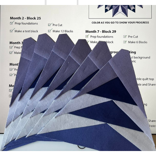 Lesley is making progress on her Solstice BOM quilt in blue color palette.