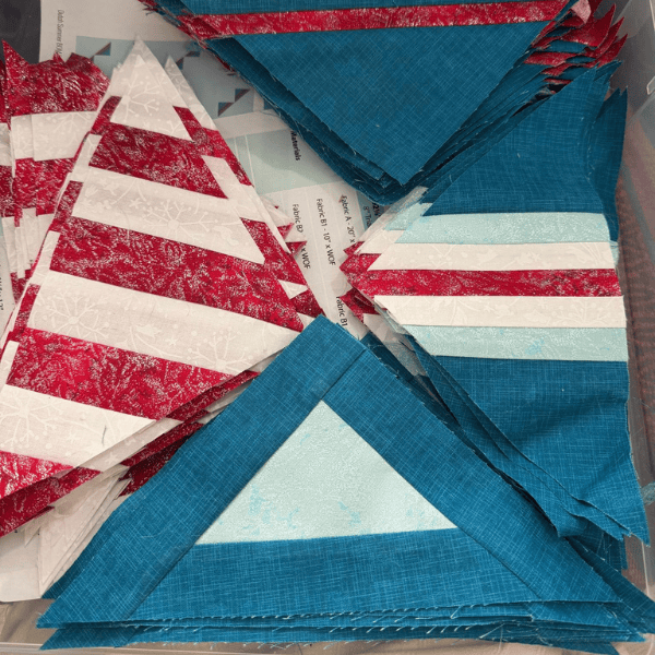 Halfway to the big finish, Dena W. completed blocks through month 4 of the Dutch Summer BOM quilt.